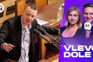 Předložím to i bez Babiše, hrozí Rajchl. Bič na neziskovky rozhádal koalici - Seznam Zprávy